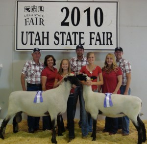 Utah State Fair Junior Grand Champion Ewe and Ram 2010